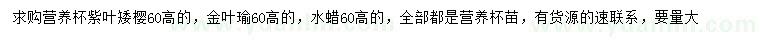 求購紫葉矮櫻、金葉瑜、水蠟