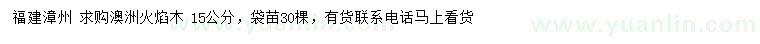 求購15公分澳洲火焰木