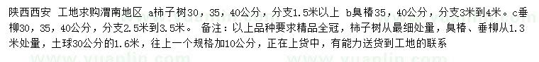 求購柿子樹、臭椿、垂柳