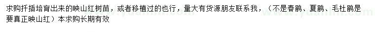 求購映山紅