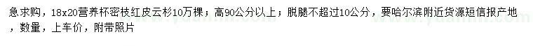 求購高90公分以上紅皮云杉
