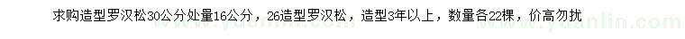 求購30公分處量16公分造型羅漢松