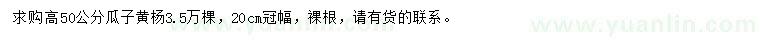 求購(gòu)高50公分瓜子黃楊