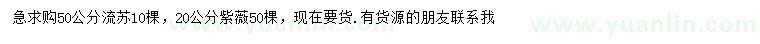 求購50公分流蘇、20公分紫薇