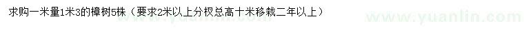 求購1米量1.3米樟樹