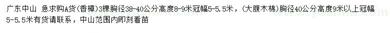求購(gòu)胸徑38-40公分香樟、40公分大腹木棉