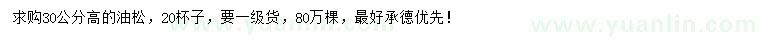 求購高30公分油松