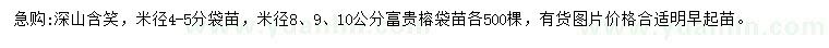 求購米徑4-5公分深山含笑、米徑8、9、10公分富貴榕