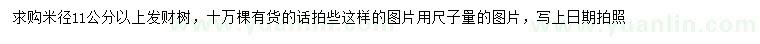 求購(gòu)米徑11公分以上發(fā)財(cái)樹