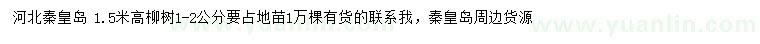 求購1-2公分柳樹