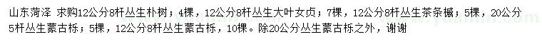 求購(gòu)叢生樸樹(shù)、叢生大葉女貞、叢生茶條槭等