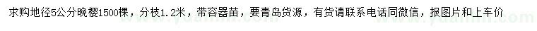 求購(gòu)地徑5公分晚櫻