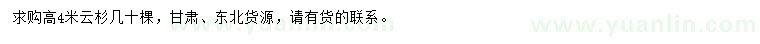 求購高4米云杉