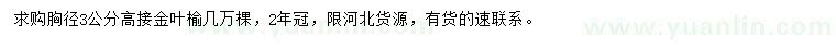 求購胸徑3公分高接金葉榆