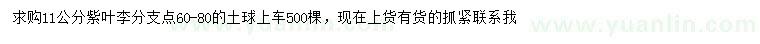 求購11公分紫葉李