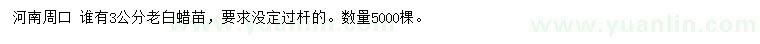 求購3公分老白蠟苗