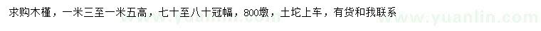 求購(gòu)高1.3-1.5米木槿