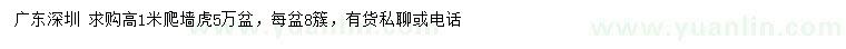 求購(gòu)高1米爬墻虎
