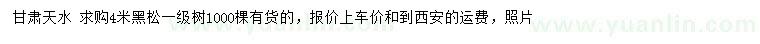 求購(gòu)4米黑松