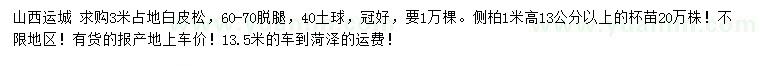 求購(gòu)3米白皮松、高1米側(cè)柏