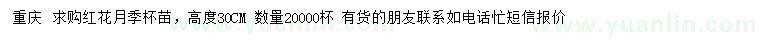 求購高度30公分紅花月季
