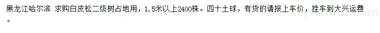求購1.5米以上白皮松