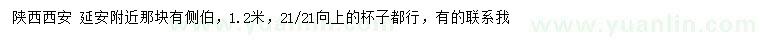 求購1.2米側(cè)伯