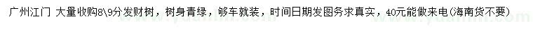 求購8、9公分發(fā)財樹