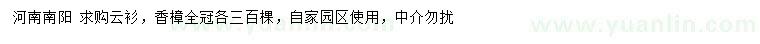 求購云衫、香樟