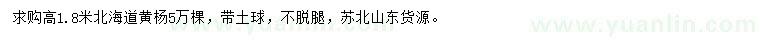 求購高1.8米北海道黃楊