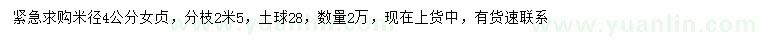 求購米徑4公分女貞