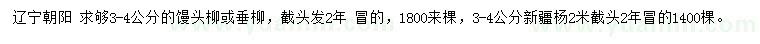 求購(gòu)饅頭柳、垂柳、新疆楊