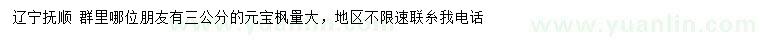 求購(gòu)3公分元寶楓