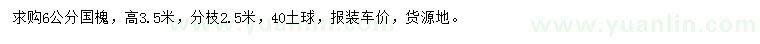 求購6公分國槐