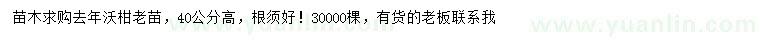 求購高40公分沃柑老苗