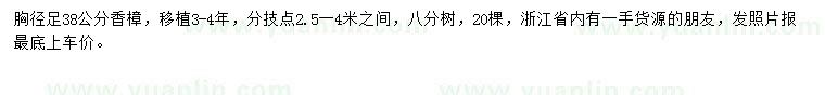 求購(gòu)胸徑38公分香樟