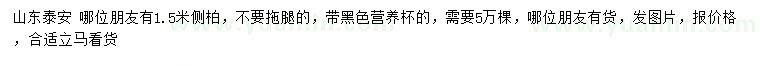 求購1.5米側(cè)柏
