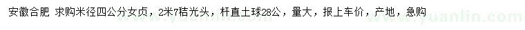 求購米徑4公分女貞