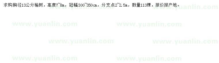 求購(gòu)胸徑13公分榆樹