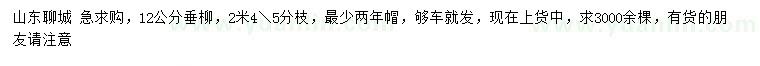求購12公分垂柳
