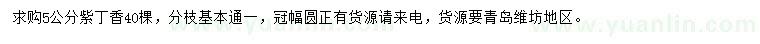 求購5公分紫丁香
