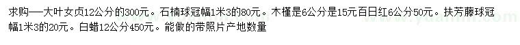 求購大葉女貞、石楠球、木槿等