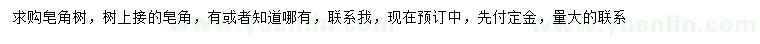 求購皂角樹