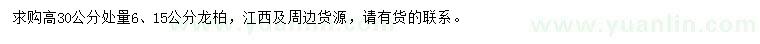 求購高30公分處量6、15公分龍柏