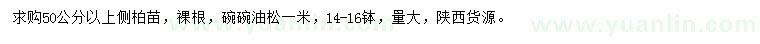 求購50公分以上側柏苗、1米油松