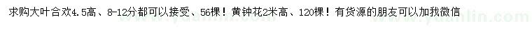 求購8-12公分大葉合歡、高2米黃鐘花