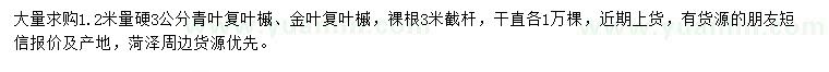 求購1.2米量硬3公分青葉復(fù)葉槭、金葉復(fù)葉槭