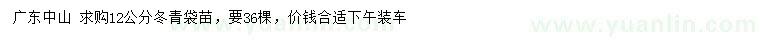求購(gòu)12公分冬青