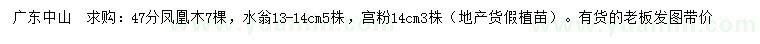 求購鳳凰木、水翁、宮粉