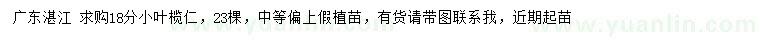 求購18公分小葉欖仁